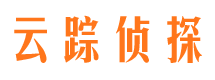 岳塘侦探公司